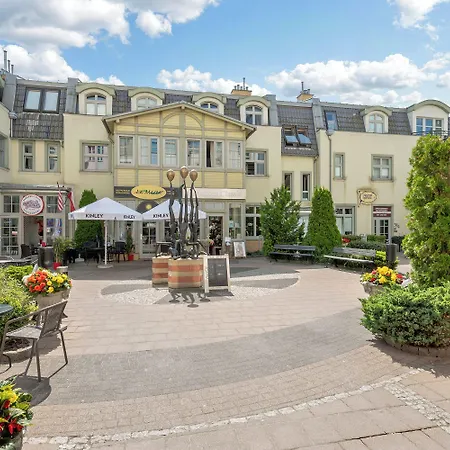 Grand - Lemon - Monte Cassino